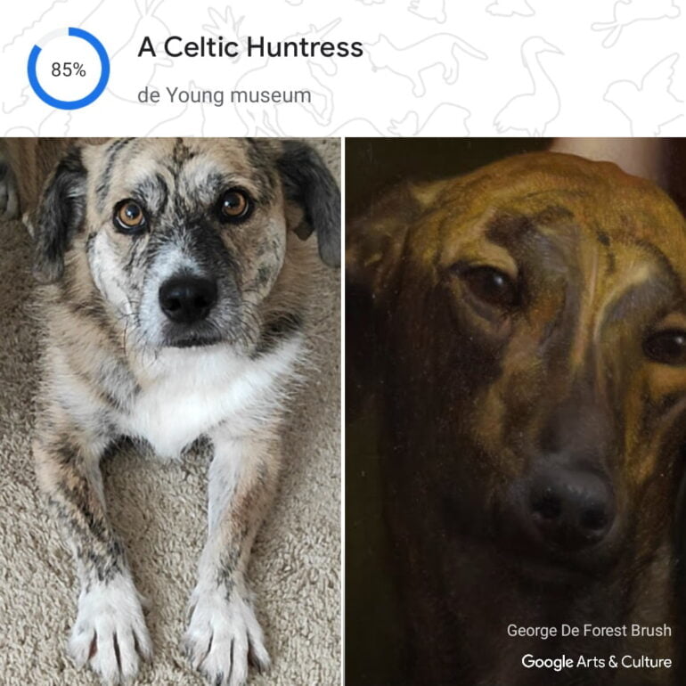 Die Google-KI gleicht das Foto eures Haustieres mit einer Datenbank aus &uuml;ber 70.000 Kunstwerken ab und findet vermeintliche Doppelg&auml;nger.