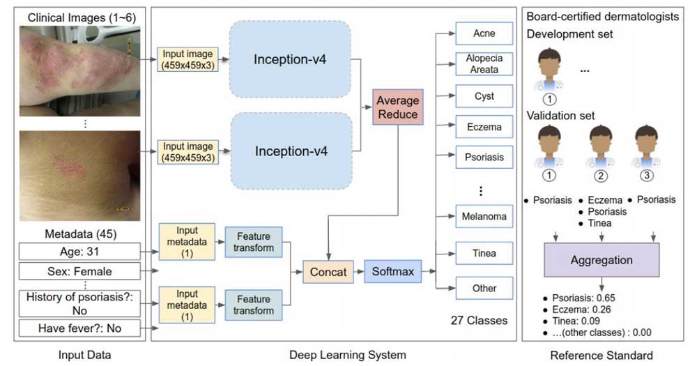 Die KI wird mit Bildern und Metadaten gef&uuml;ttert. Wesentlicher Bestandteil der KI ist Googles Bilderkennungs-KI "Inception". Bild: Google.