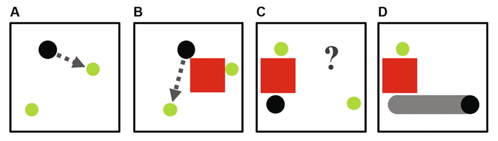 Vier Stufen des Robotertrainings