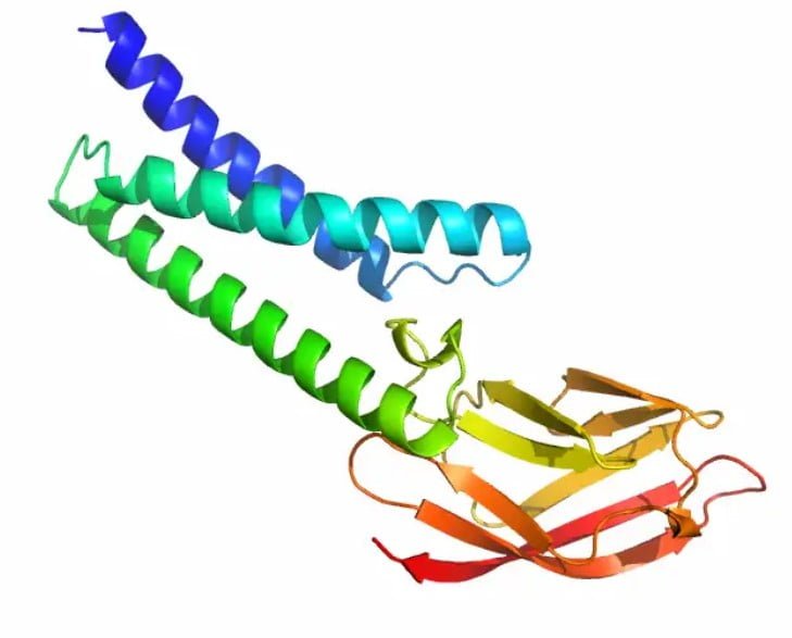 Deepminds KI-Software Alphafold berechnete m&ouml;gliche Proteinstrukturen des Coronavirus. Bild: Deepmind