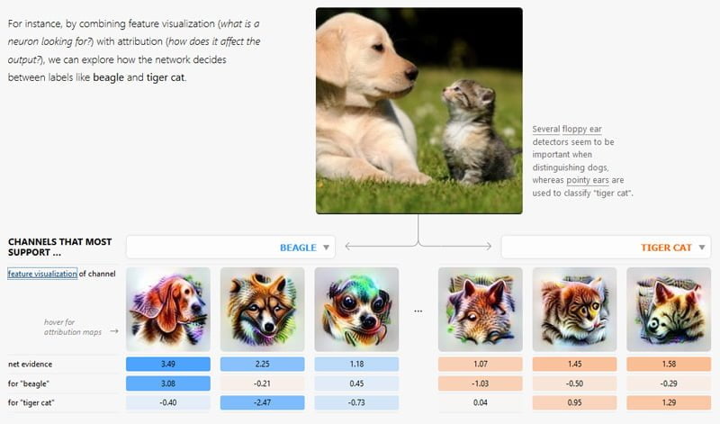 Beim Schlappohrfaktor trumpft der Beagle groß auf. Bild: Google