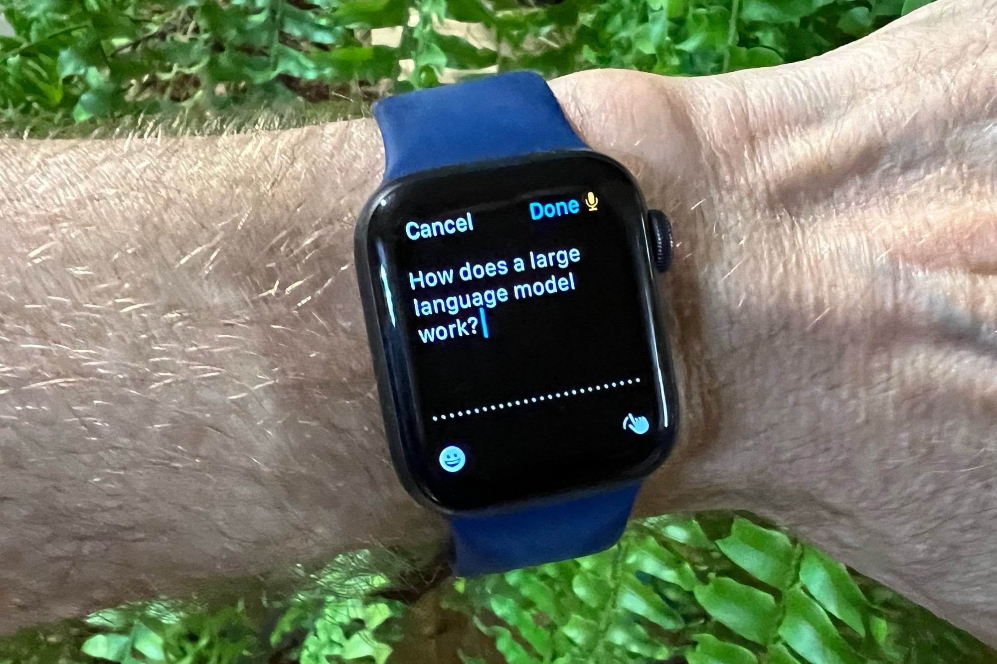 Alan Truly fragt die Petey Apple Watch App nach großen Sprachmodellen.

